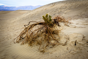 Death Valley