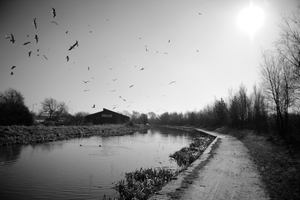 Walsall Canal