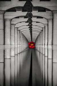 Our Polarity Within
