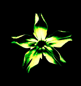 Green Flower