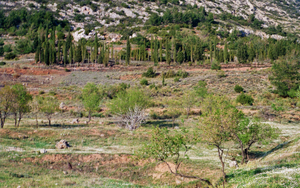 fig.3-5 Delphi.Landscapes