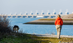 the "Oosterschelde-kering"