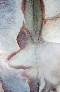After Georgia O'keeffe