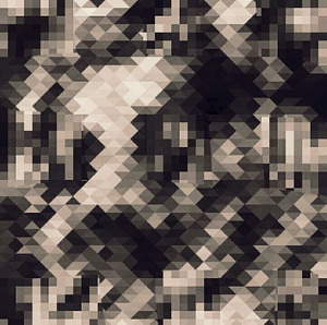 Metamorphosis 47