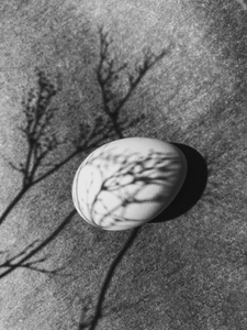 Easter