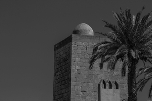Torre de las Aguilas