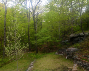 May 11, a little past 11am