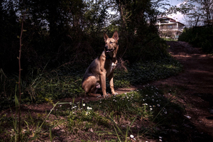 Dida, 2009 © Andreas Tsonidis
