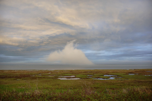 Meandering Fog