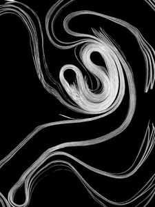 Gestation