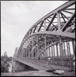 Cologne