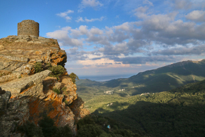 Cap Corse