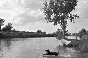 Instants