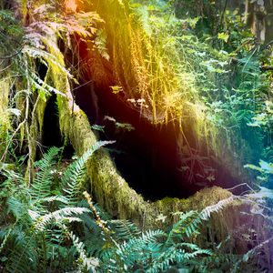 Geographical Lore, prism I