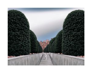 Athlete - Trieste