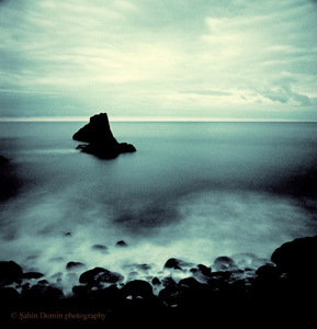 © Sahin Domin