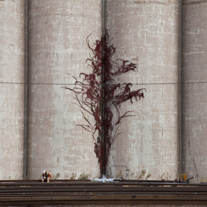 Grain Elevator © Eddee Daniel