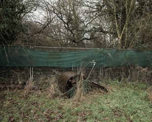 117.	The Wibbandune Sports Ground