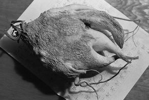 9. Wilted daikon on Chinese text