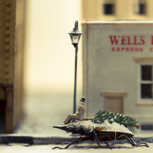 Bug Transport Holiday Image