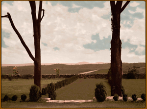 Landscape16-6