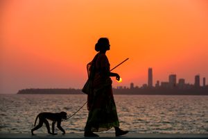 The woman who makes the monkey dance