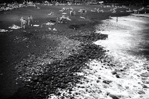 Island View 1/12