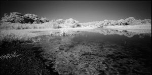 Mother Lake in White #10