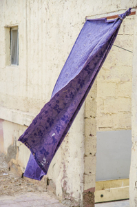 waving in the wind #1