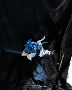 From the Blue Period  Chromogenic print in to limited editions of seven 20”x24”