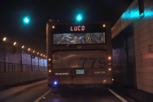 Bus