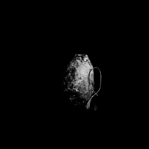 Celestial Objects 10 - Sweet Potato
