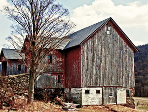 Delaware County Barn in Roxbury, NY. Has stone supported rise to hay loft.