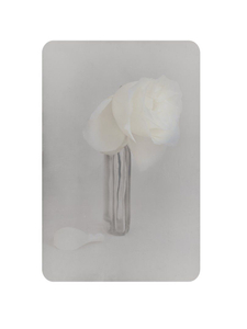 fiore morti