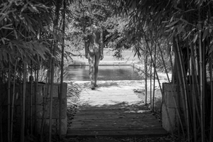 Pool Bamboo Nude