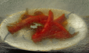 Hot pepper