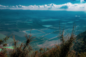 A VIEW TO THE VALLEY