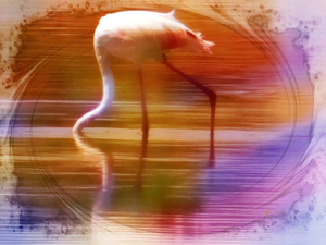 Inner Peace