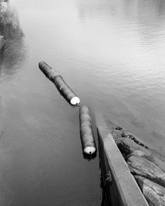 The Assumption of Choice #9