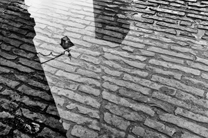 Piazza Grande after a rain shower