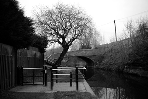 Stourbridge Canal
