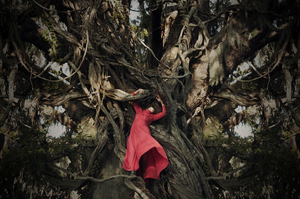 Rooted