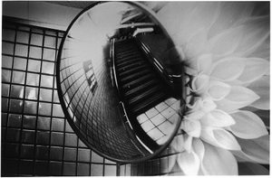 Warning #37, 2010 © Kosuke, Christophe Guye