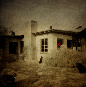 © Erin McGuire - Immediate Family
