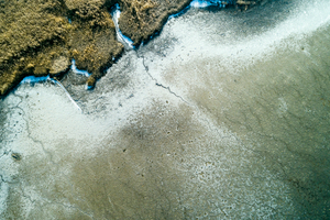 Lakeshore Operations | Ground Level Series #04