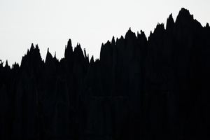 Stone Forest ©Albert Normandin