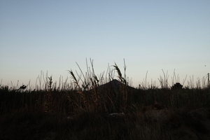 second morning #17