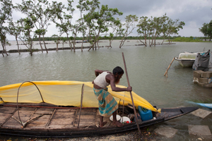 Ased Ali Gazi is a fisherman, prepares to catch fishes. Thousands of men and women go into the Sundarbans forest in Southern Bangladesh every day to gather honey, collect firewood, or catch fish, crabs and putting themselves at great risk for a tiger attack.