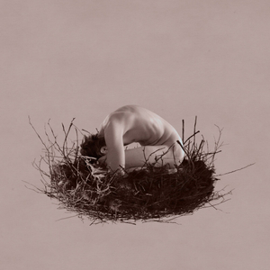 NEST