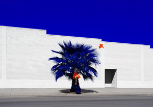Palm